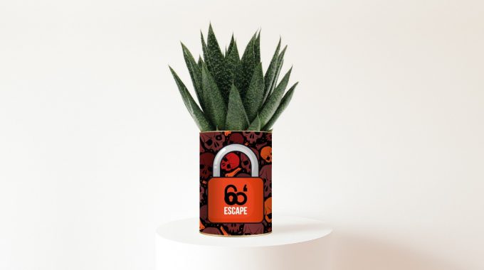 Une Plante Personnalisée Publicitaire Unique Pour 60 Minutes Escape